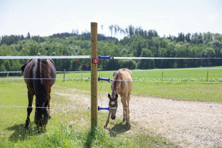 AKO Smart Satellite Zaun- und Batterieprüfer